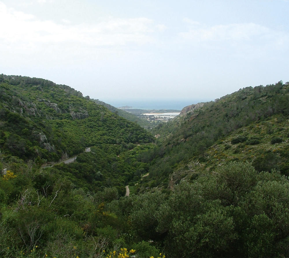 View from the Carmel Mountain Range to the Mediterranean Sea