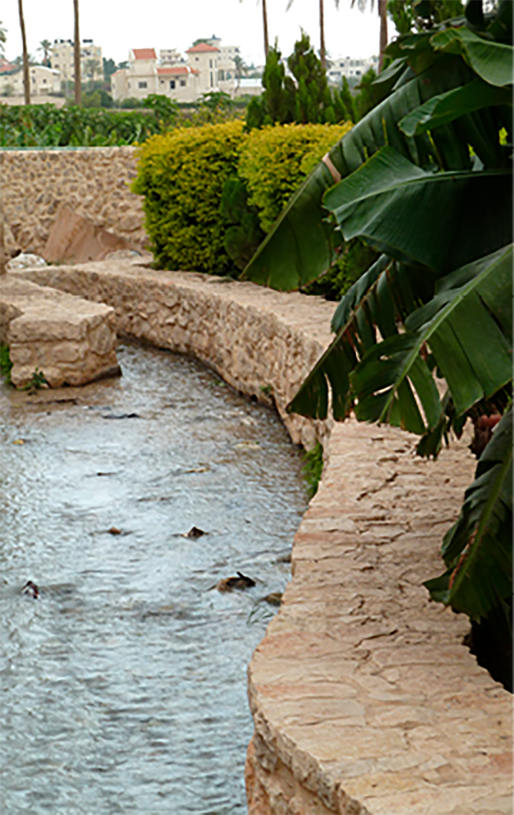 Elisha’s Spring, Tel es-Sultan, Jericho