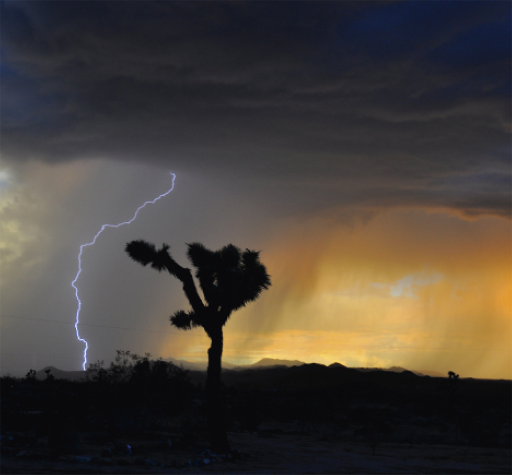 “God thunders with his majestic voice. He does not restrain the lightning when his rumbling voice is heard”.