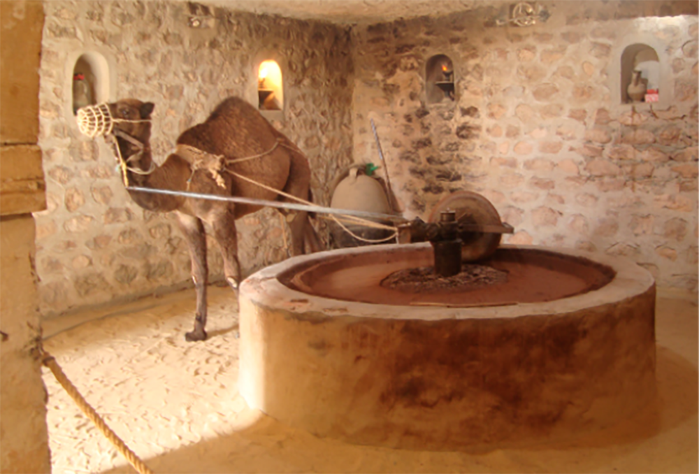 Reconstituted olive press at the Guellala Museum 