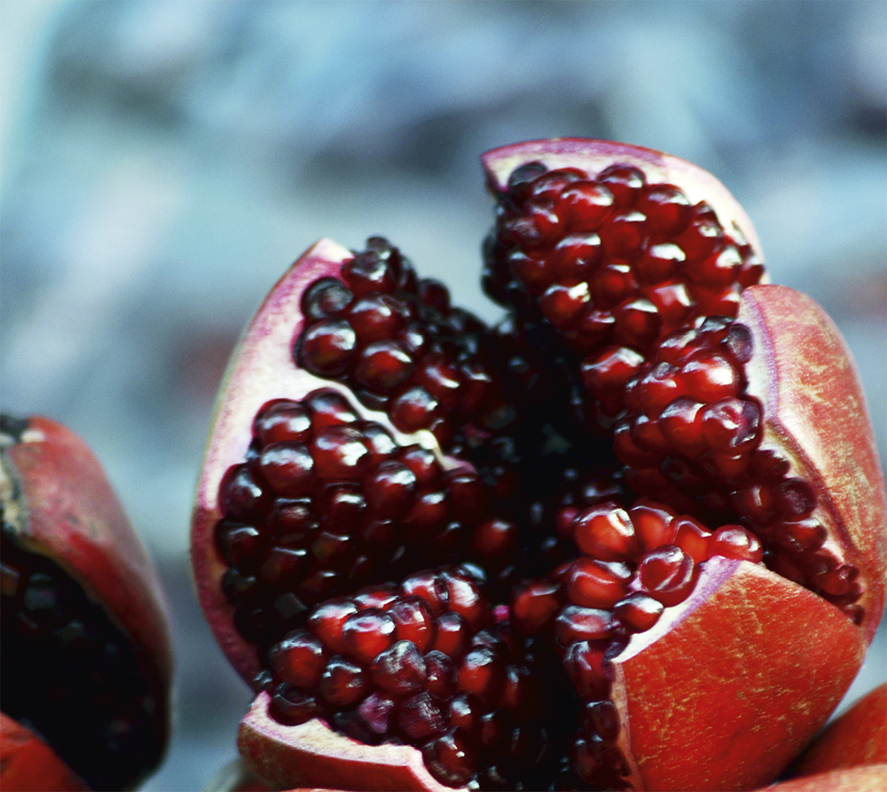 The pomegranate is a recurring image in the Song of Songs