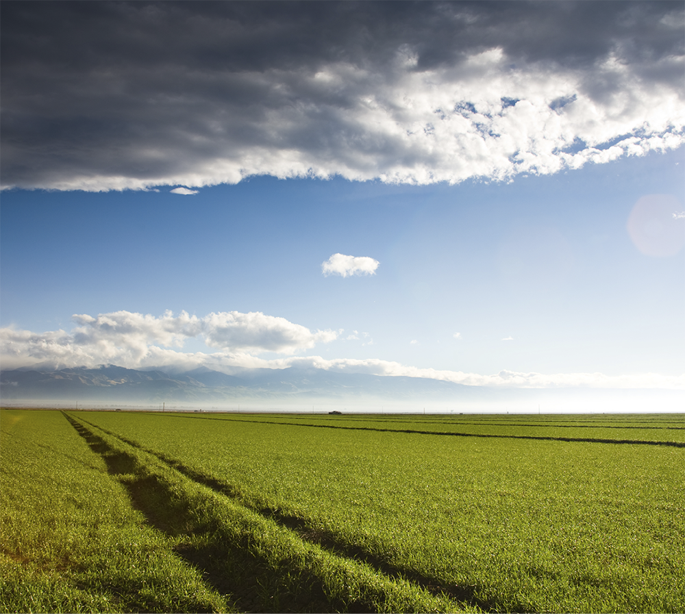 “Ask the Lord for rain in the season of spring rain. The Lord makes the rain clouds, and he will give them showers of rain and crops in the field for everyone”.