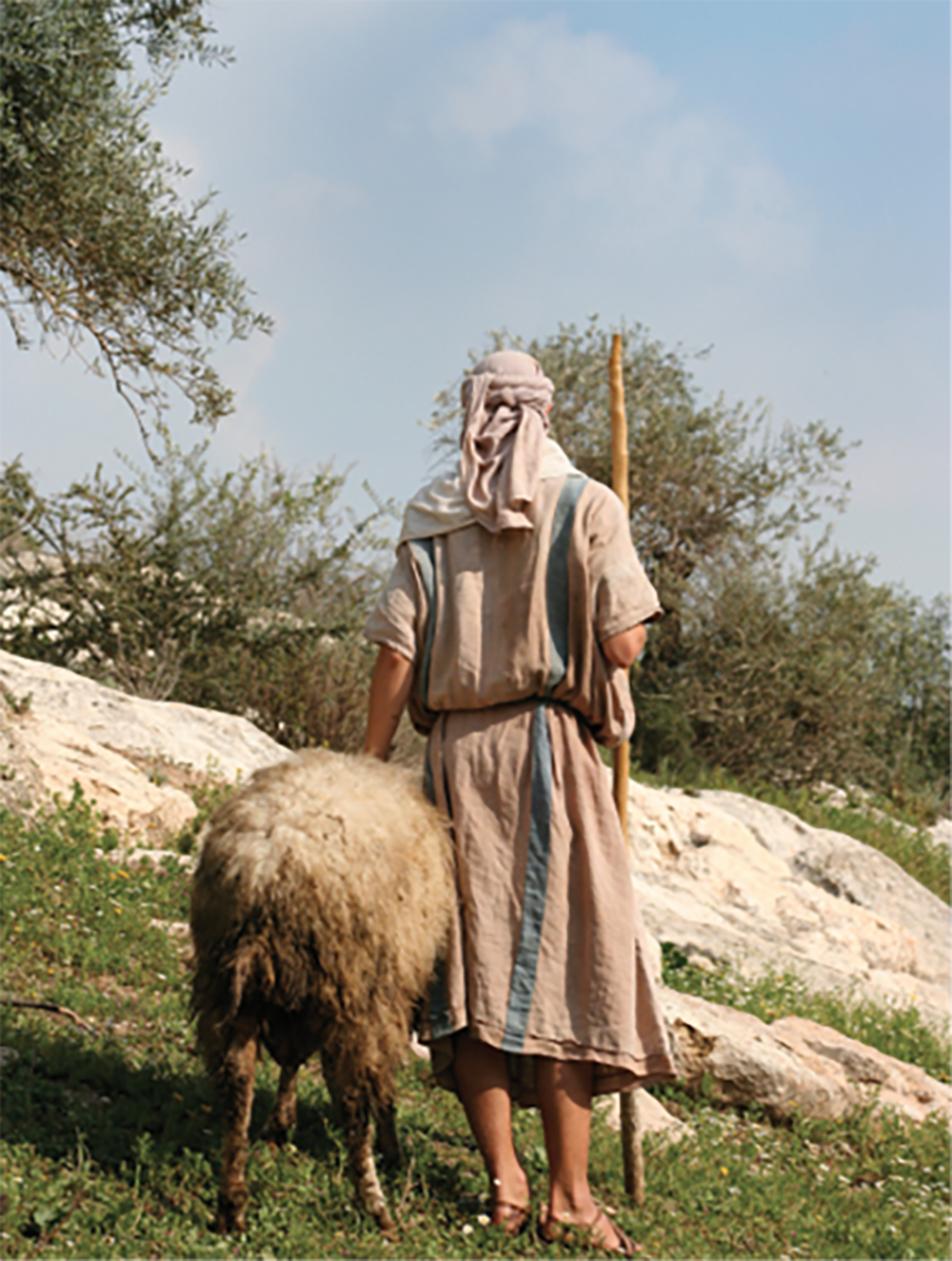 Shepherd leading sheep