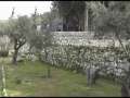 Israel - Gethsemane 