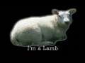 Baa We're Lambs 