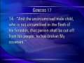 Freedom Worth Fighting For  Galatians 2 Clip 6 