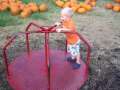 MERRY GO ROUND AT THE PUMPKIN PATCH 