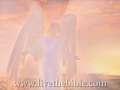 Angel Announces that Jesus is Born Animation-iLumina Bible
