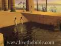 Moses is Born Animation - iLumina Bible 