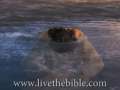 The Baptism of Jesus Animation - iLumina Bible 