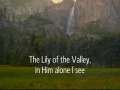 The Lily of the Valley 