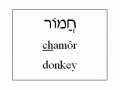 Learn Hebrew 