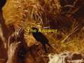 THE ANSWER - The Ant And The Raven Part 2 