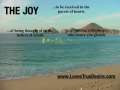 The Joy (with sound) 