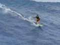 Big Wave Surfing!! 