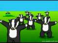 The badger song 