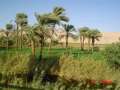 Amarna region: Land of Plenty 