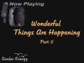 Wonderful Things Are Happening - Part 2 