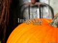 ImageVine Stock Thanksgiving Images 