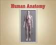 The Human Anatomy - Pastor Kamal Sampara Part 1/5 