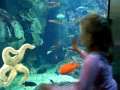 Trip to the aquarium 