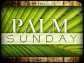 The Passion of the Christ: Palm Sunday 