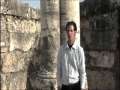 Psalm 1 at an ancient synagogue in Israel (Tom Meyer) 