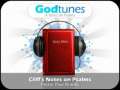 Godtunes: Cliff's Notes of Psalms 
