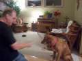 Bible Dog teaches: Sword of the Spirit 