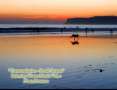 Matt Mattero - Contemplation - Small Stream
