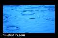 Water  -BluefishTV.com 