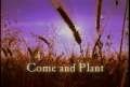 Come and Plant  - Ven a Plantar 