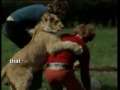 Christian The Lion - The full story 