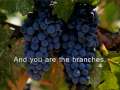 John 15:5 - I am the Vine 
