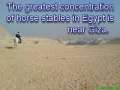 Traveling thru the Desert on a Horse with No Name, The Egyptian high plateau at Giza on horseback. 