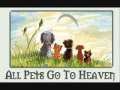 do pets go to heaven? 