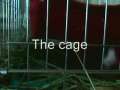 The Cage 