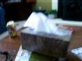 the tissue box 