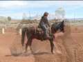 Abundant Life Academy Horsemanship Program 