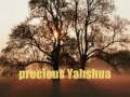 Praise Yahshua With All My Soul 