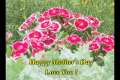 Happy Mother's Day - Videoflowers for you 