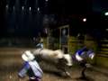 Close Up PBR Rodeo 