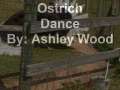 Ostrich Dance 