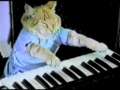 Preach Jesus - Play Him Off Keyboard Cat 
