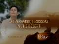 As flowers blossom in the desert  - The Photo Essay Way(18) by Rev.Dr.Jaerock Lee 