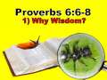 God's Ant Wisdom  (Proverbs 6:6-11)  [Part 03] 