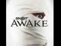 HERO, Awake &amp; Skillet