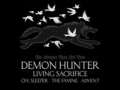Demon Hunter Slide Show 