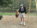 Dog rides in a swingset! 