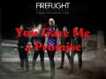 You Gave Me a Promise - Fireflight 